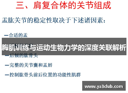 胸肌训练与运动生物力学的深度关联解析